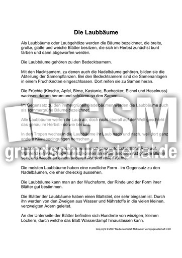 Fehlerlesen-Laubbäume-Text.pdf